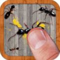 ant smasher apk download
