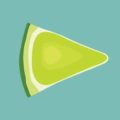 lime player apk download